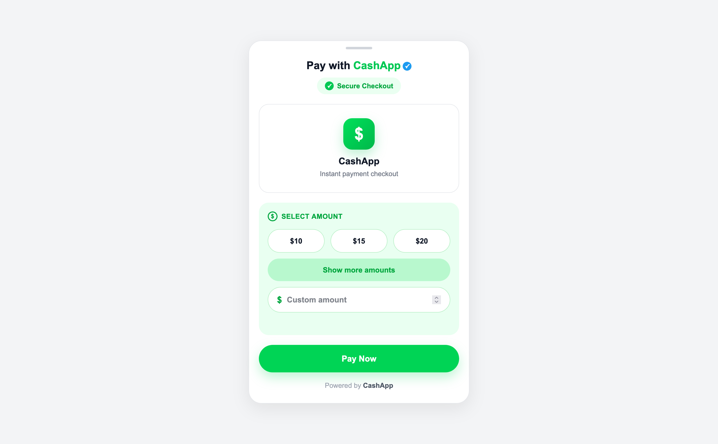 Fake Cash App Payment Page Scam example