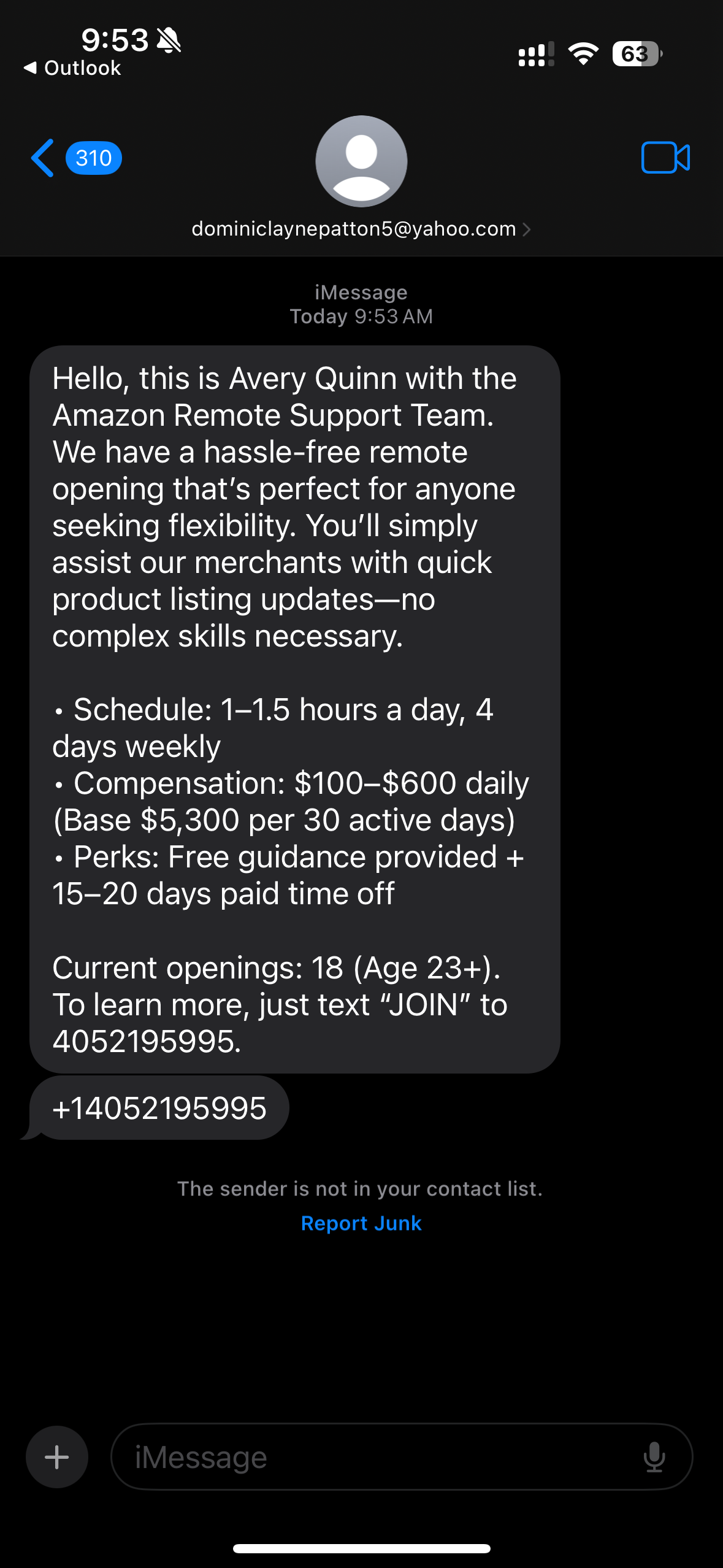 Remote Job Offer Text from Fake Recruiter preview